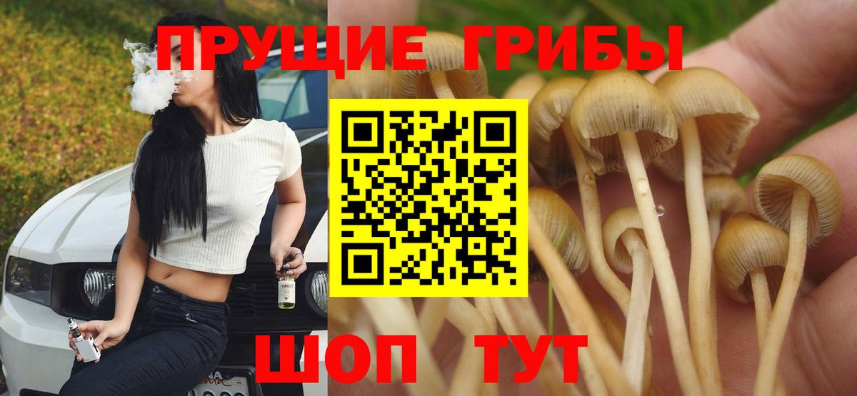 Сургут  Псилоцибиновые грибы мухоморы  Вход с VPN 